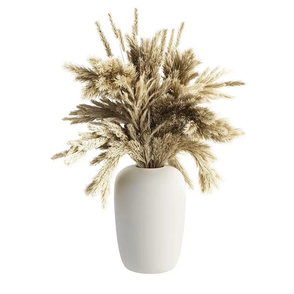 蒲苇装饰花瓶装饰花瓶3D模型素材下载Apothecary Vase with Pampas Grass by Kristina