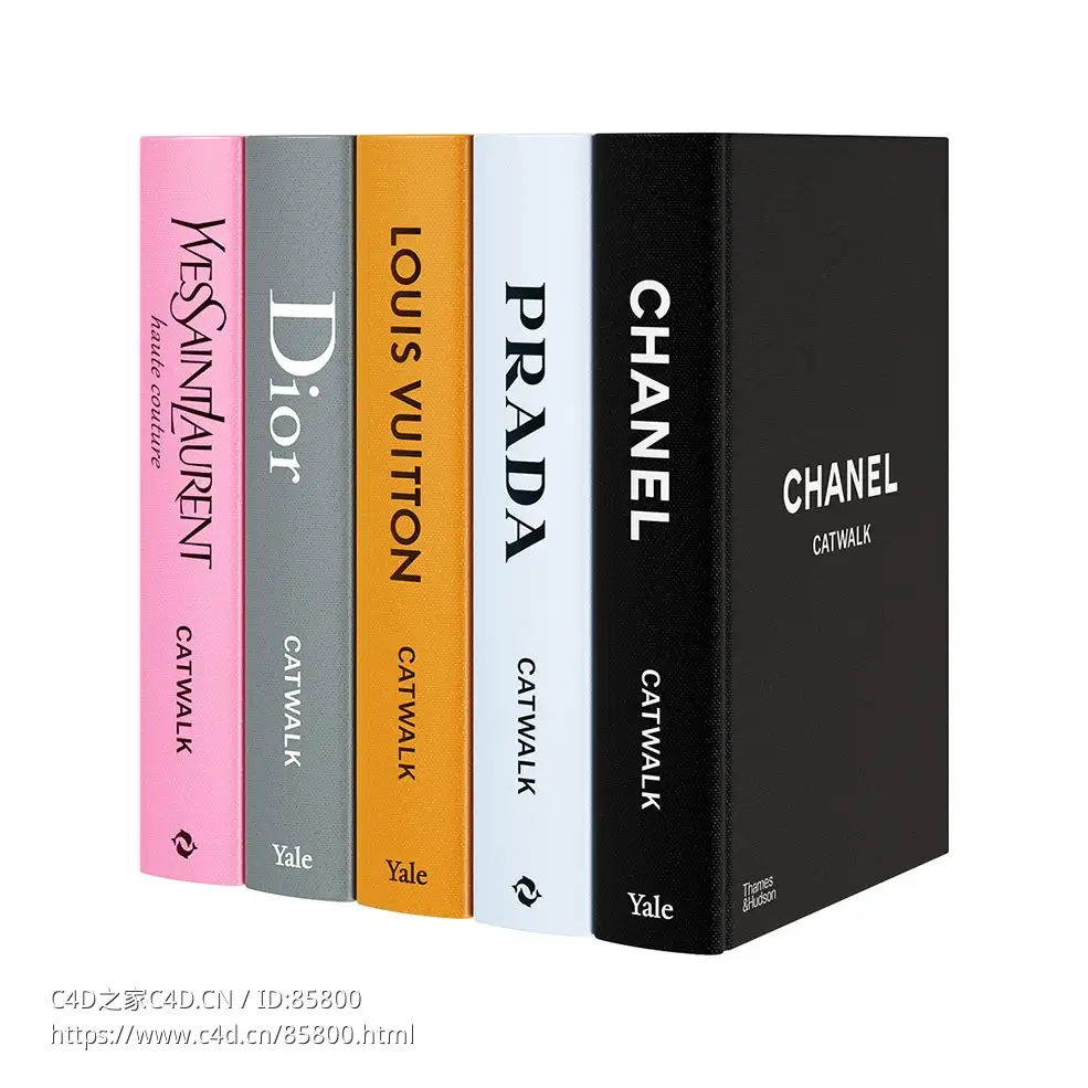 泰晤士与哈德森猫步书籍系列3D模型素材下载Catwalk Book Collection by Thames & Huds