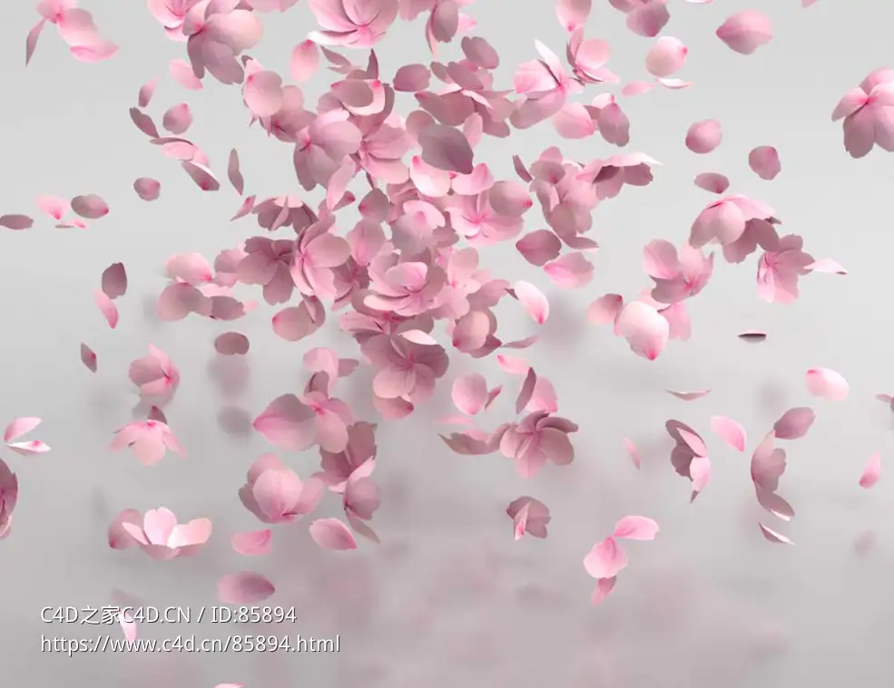 唯美樱花桃花花瓣飘落C4D模型 高品质粒子动画特效三维素材petal