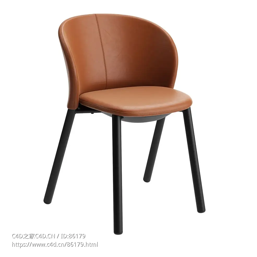 雏菊可叠放椅 (叠放椅)3D模型素材下载Daisy Stackable Chair by Zanotta - C4D之家 - 0861.jpg