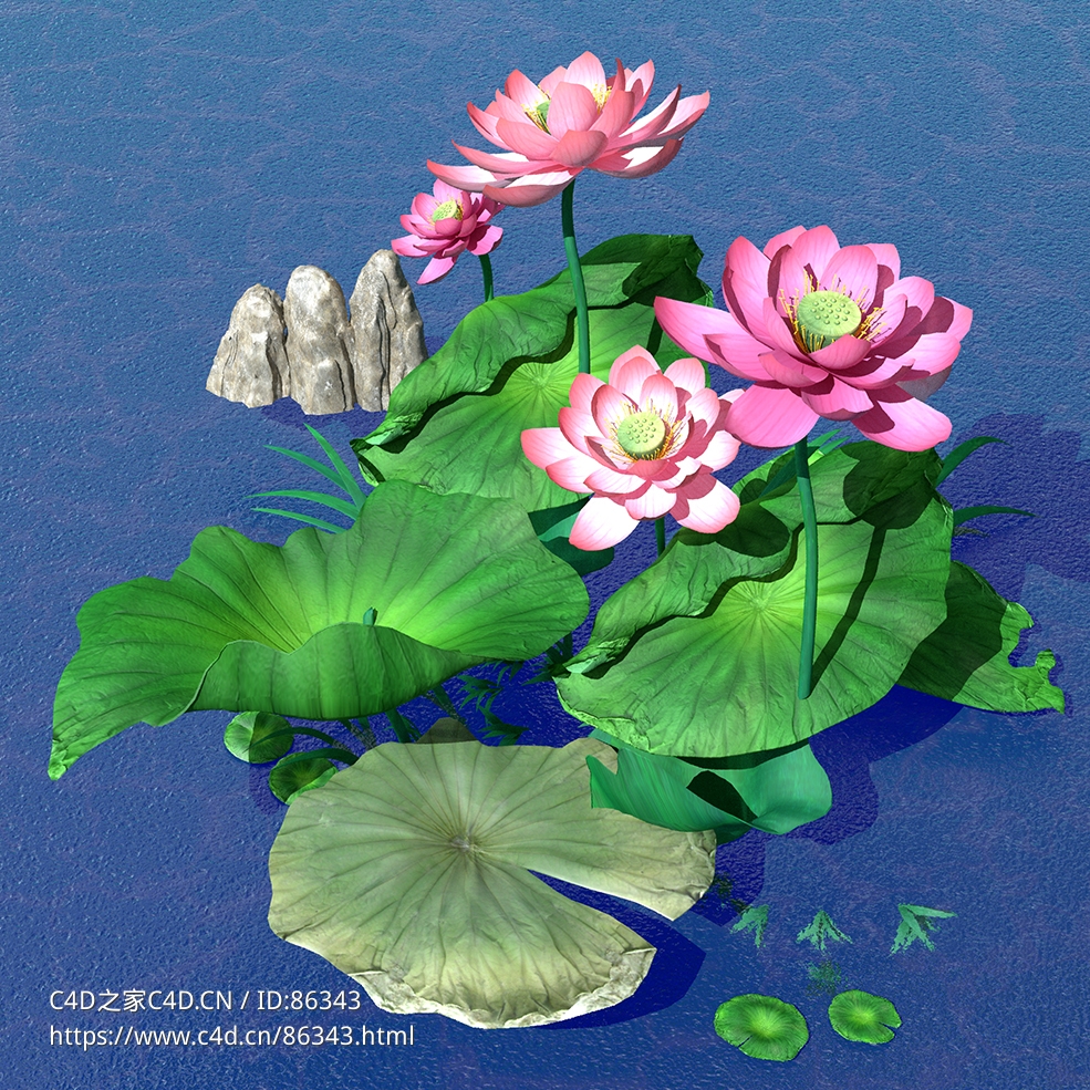 精美逼真池塘荷花植物3D模型