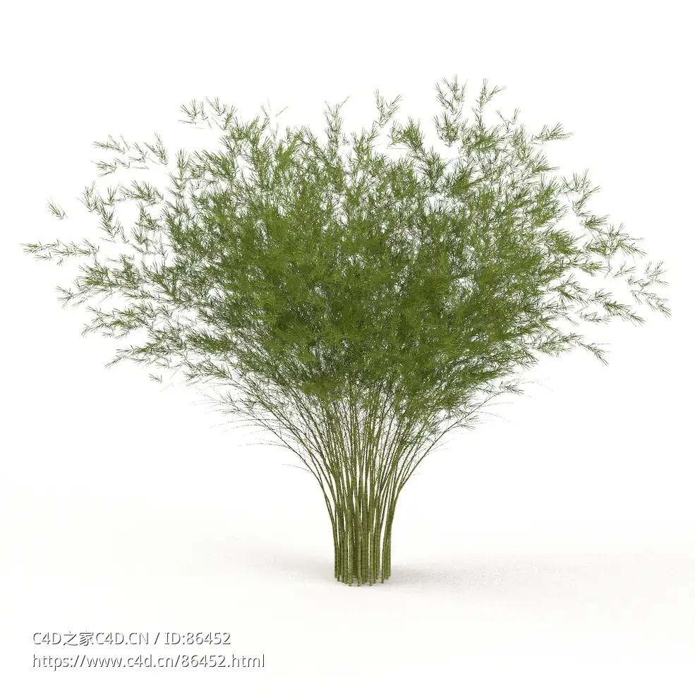 【高品质竹子3D模型】多格式支持.blend/.c4d/.obj格式含完整贴图材质高精度建模竹植物素材bamboo c4d model
