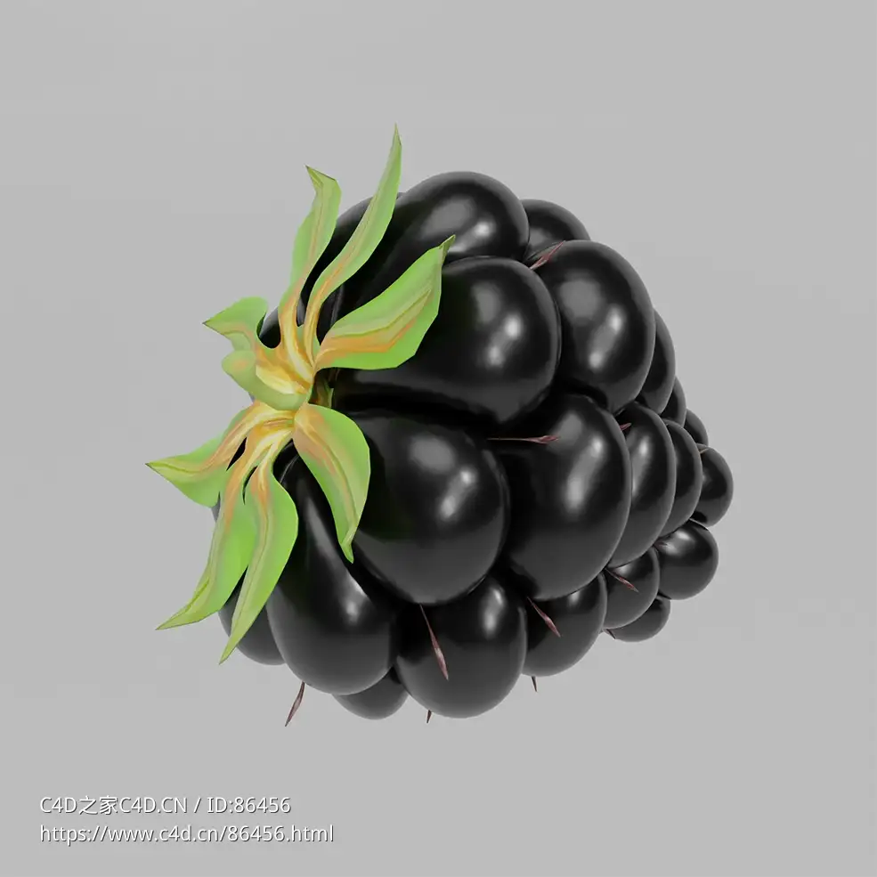 超高精度黑莓水果三维模型含完整贴图材质包.blend.c4d.obj多格式可下载适用影视游戏场景Blackberry c4d model