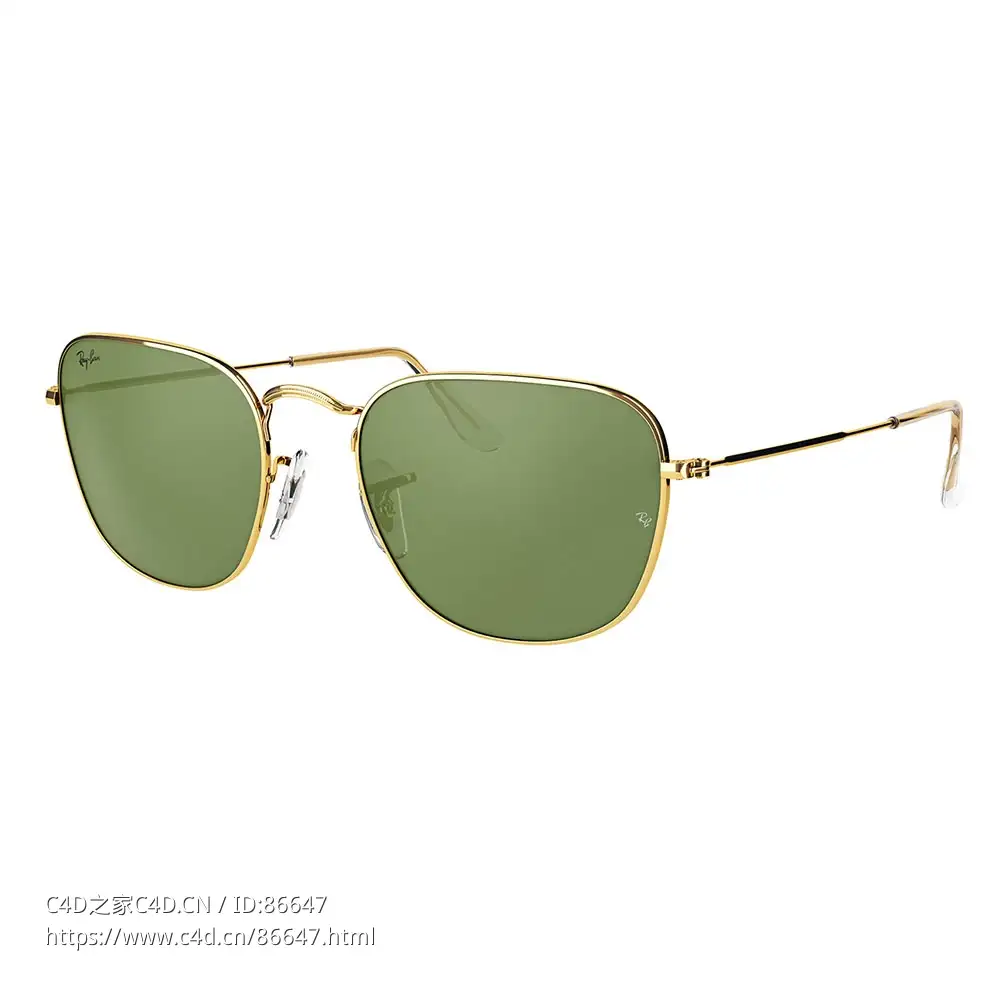 Frank 太阳镜时尚眼镜3D模型素材下载Frank Sunglasses by RayBan