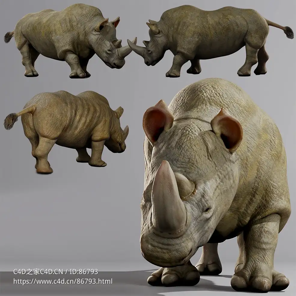 超写实犀牛动物角色三维模型带UV贴图支持C4D/Blender/OBJ格式素材源文件Rhinoceros Rhino