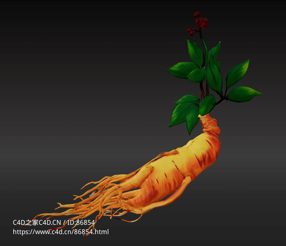 超高精度中药材人参3D模型下载资源，兼容多平台格式支持动画渲染应用广泛
