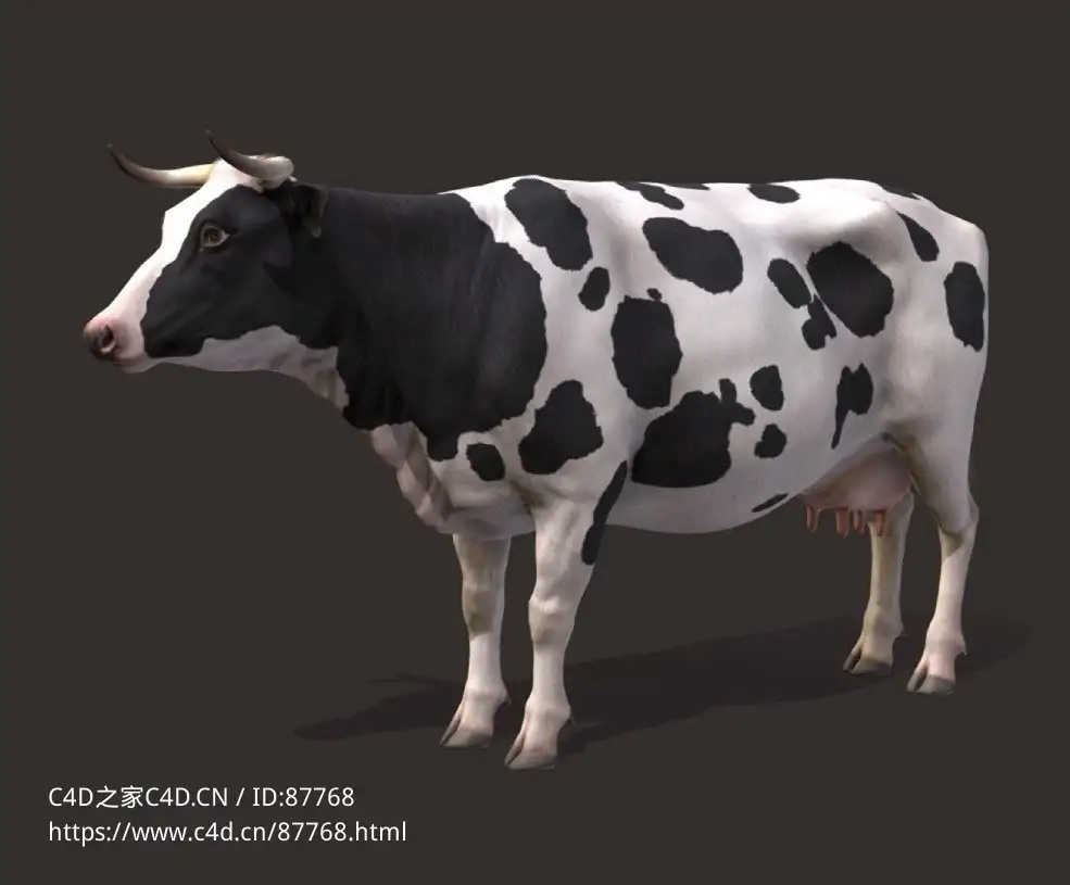 高精度黑白花奶牛3D模型下载资源，支持gltf、c4d、fbx多格式，写实动画渲染贴图材质齐全cow-animations