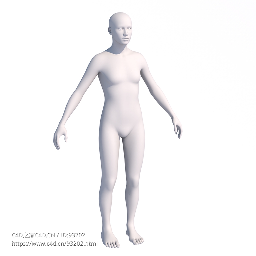 人体模型Universal Human Body & Face Rig