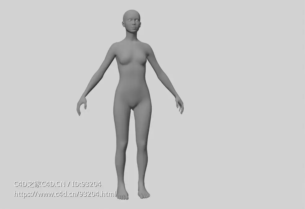 女性人体基础形态模型Universal Human Skin Shader