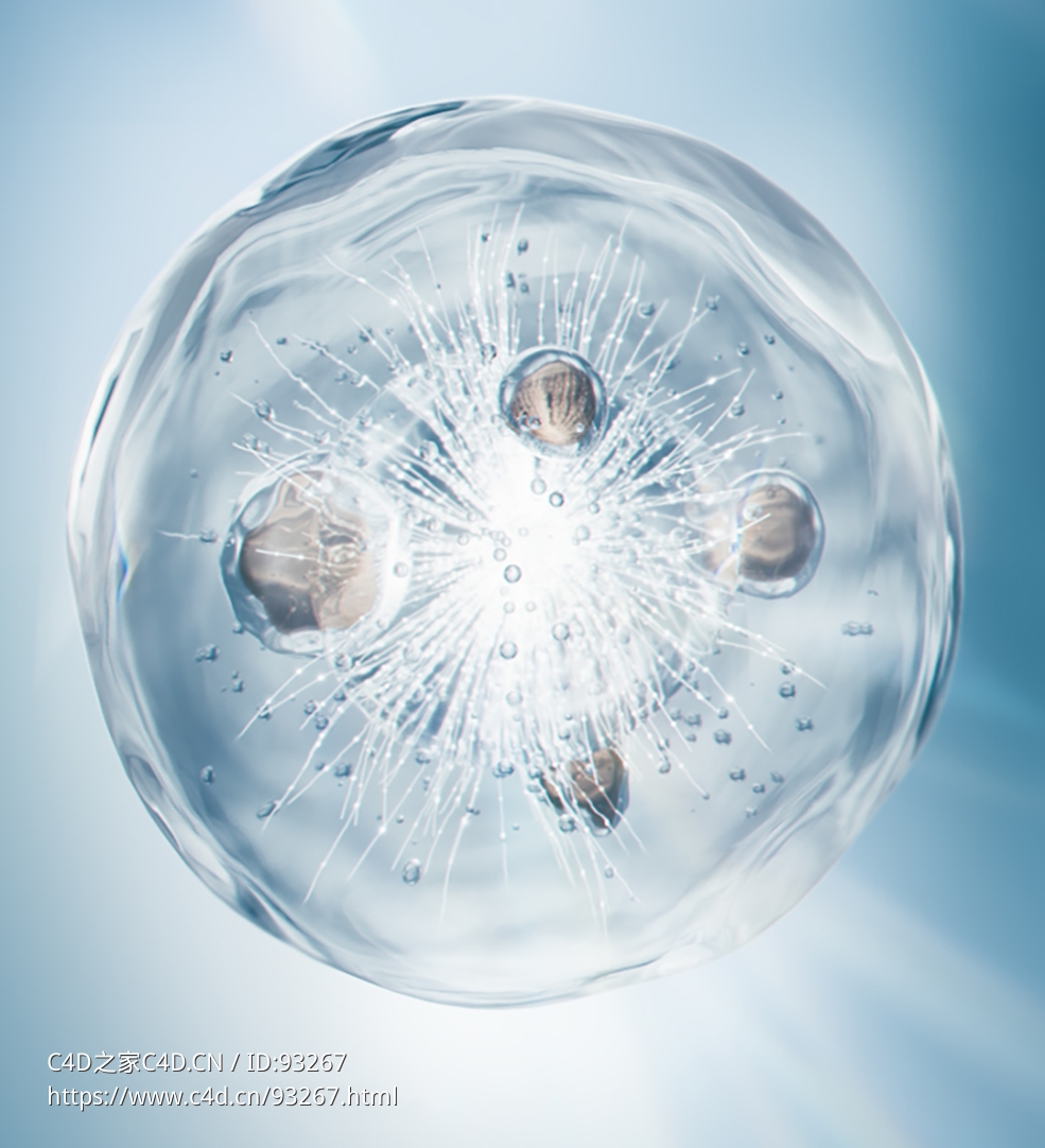 C4D OC二裂酵母细胞渲染工程