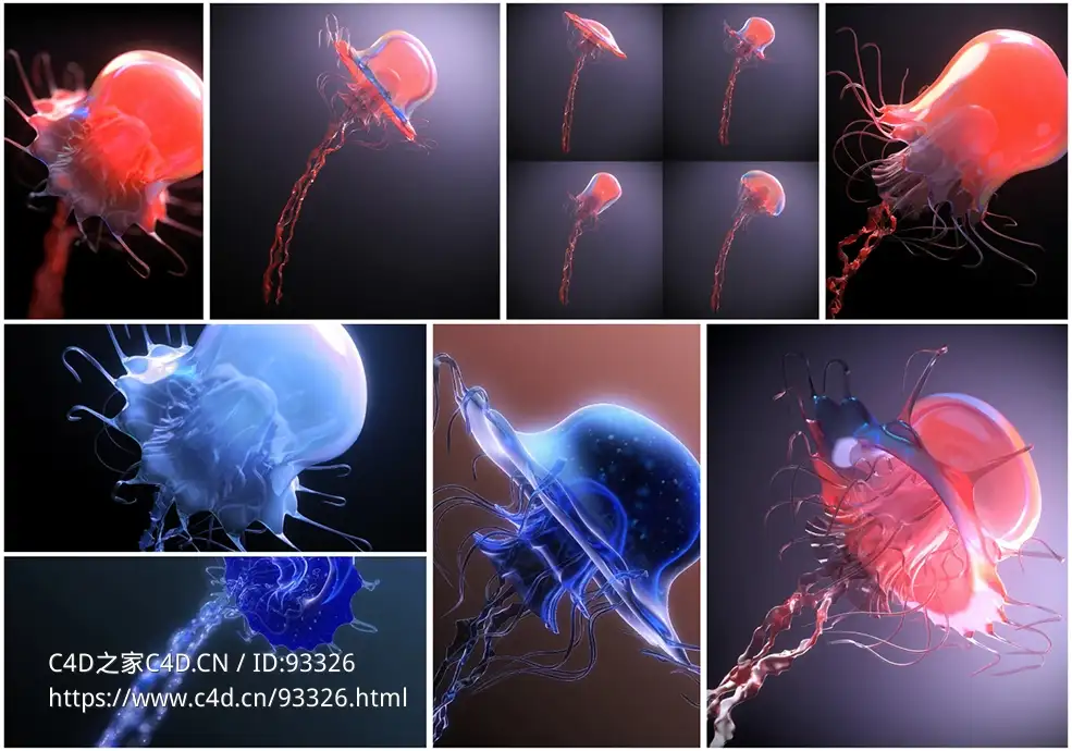 高精度水母3D动画模型下载｜带全套动态动画与PBR贴图支持abc/fbx/max(vray)多格式兼容jellyfish 3d model