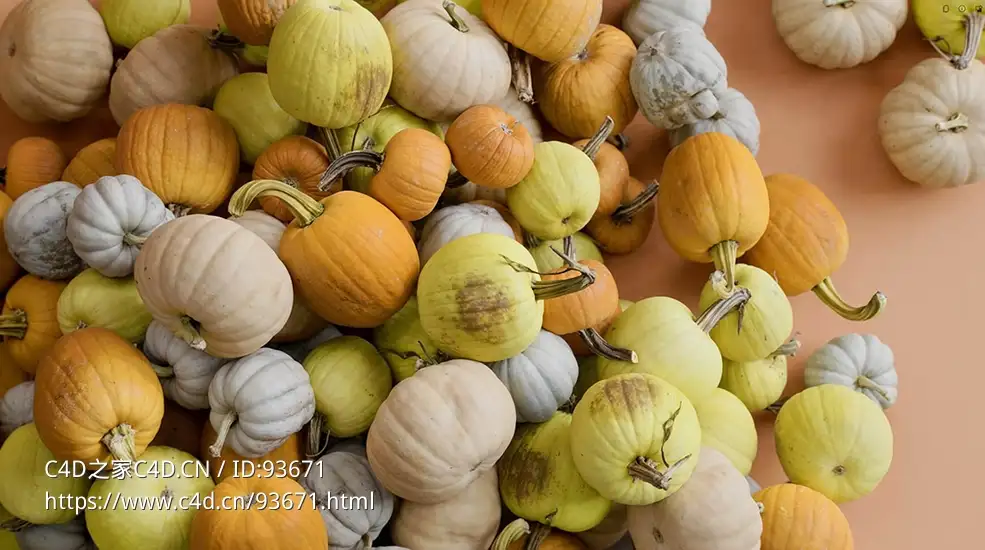 8个南瓜模型Pumpkins