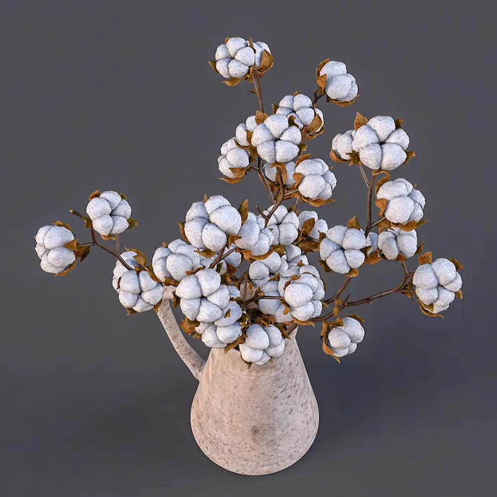 棉花cotton