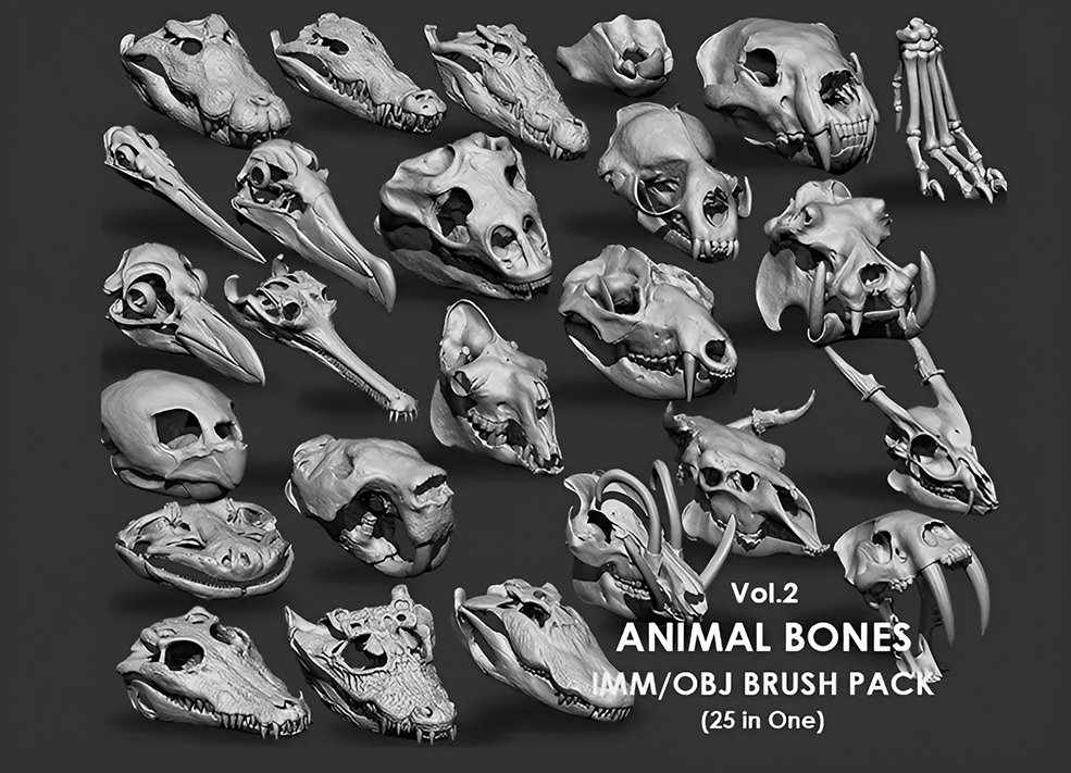 动物头骨骷髅骨骼3D模型合集 Artstation – Animal Bones Collection IMM\Stl\Obj Brush Pack 21 in One Vol.1 - C4D之家 - hd_bed39d02bd1f621544ecba8e54715f27.jpg