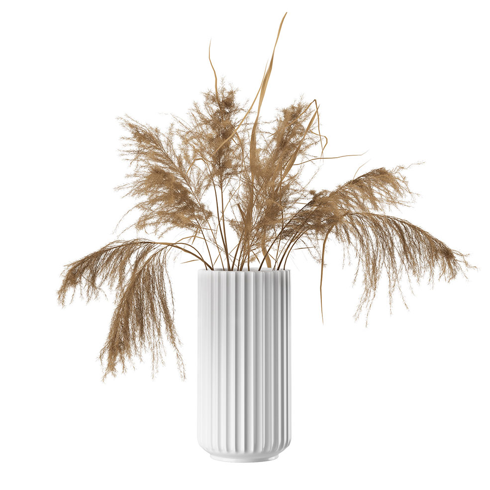 林比25厘米白瓷花瓶配干花Lyngby餐具3D模型素材下载White Lyngby Vase 25 cm with Dri - C4D之家 - 3132.jpg