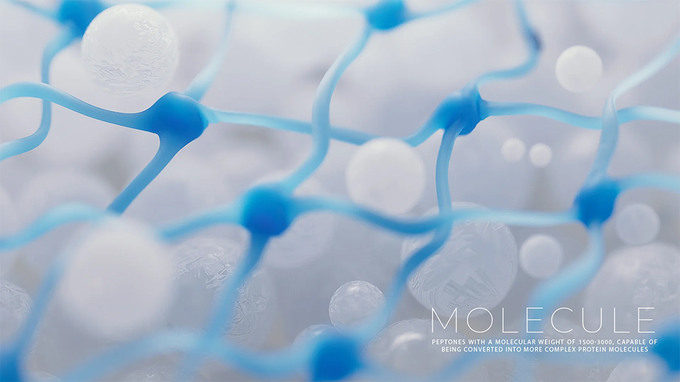 分子C4D工程Molecules