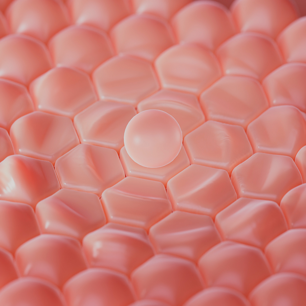 圆球碰撞冲击波扫过变换晶格几何变换动画工程Abstract Cloth Simulation