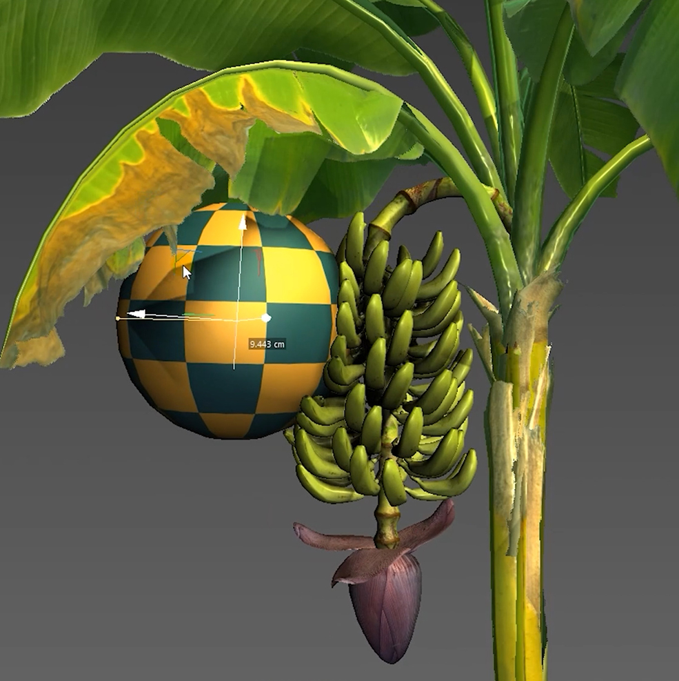 香蕉树模型Banana Tree - C4D之家 - bandicam-2022-09-04-16-15-36-928.jpg