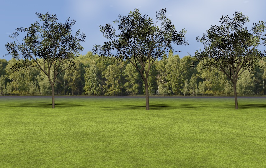 低面景观树C4D模型 Landscape tree - C4D之家 - cinema4d_ 2016-06-29 22.47.54.jpg