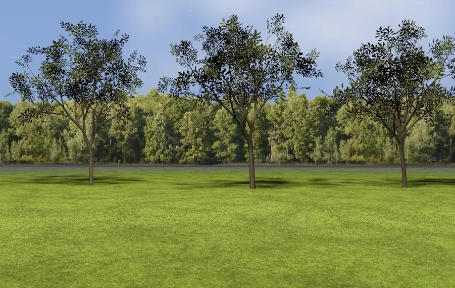 低面景观树C4D模型 Landscape tree - C4D之家 - cinema4d_ 2016-06-29 22.47.54.jpg
