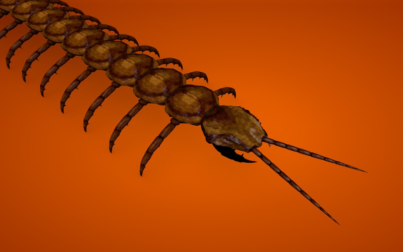 蜈蚣C4D模型 centipede - C4D之家 - cinema4d_ 2016-07-02 01.05.06.jpg