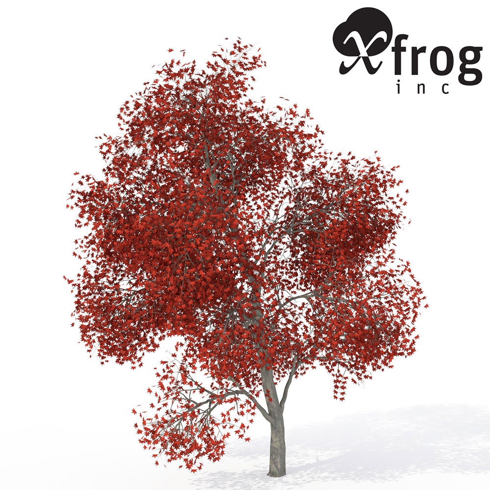 60种秋天的树木C4D模型 XfrogPlants – AUTUMN