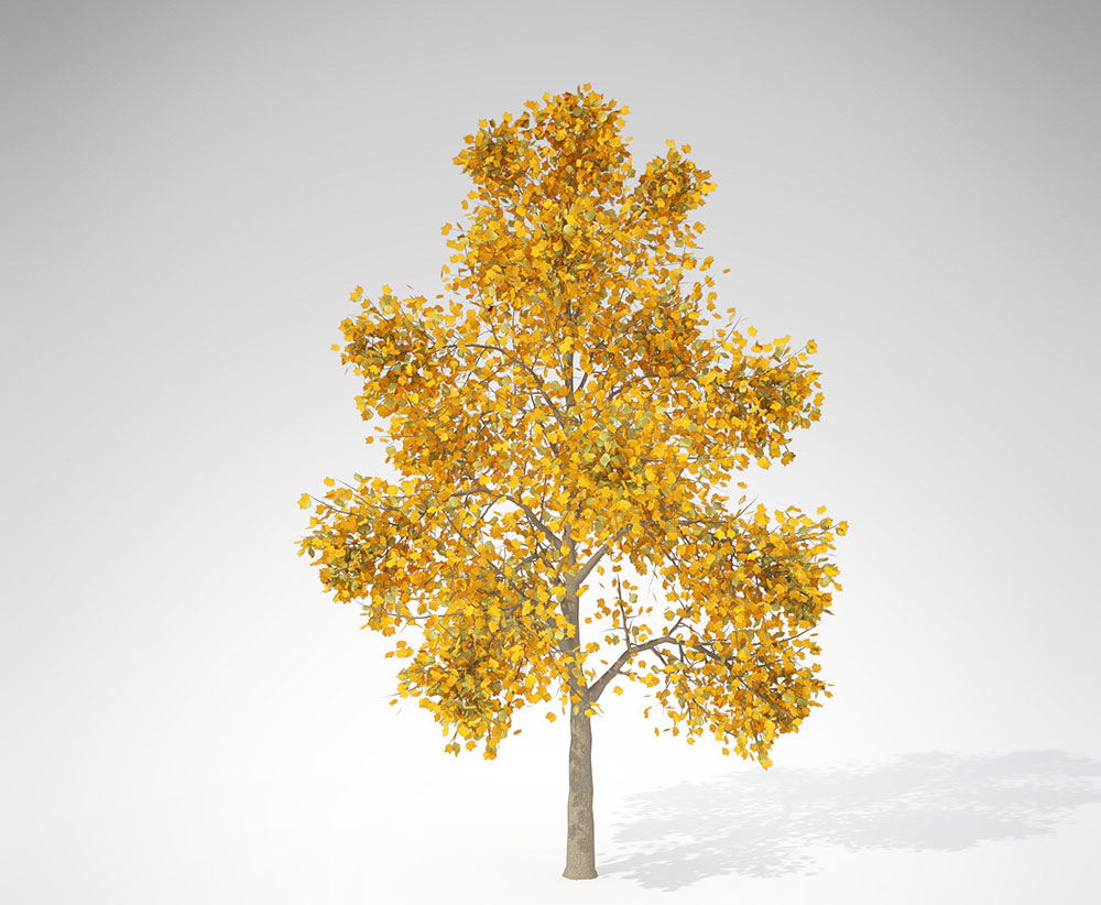 60种秋天的树木C4D模型 XfrogPlants – AUTUMN - C4D之家 - AL13m_pers.jpg500be256-7f88-48e0-9f9d-f80031d426bdOriginal.jpg
