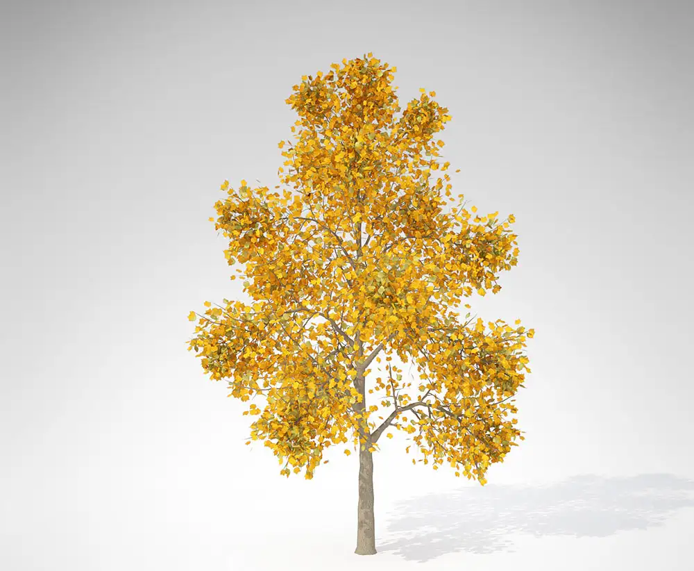 60种秋天的树木C4D模型 XfrogPlants – AUTUMN - C4D之家 - AL13m_pers.jpg500be256-7f88-48e0-9f9d-f80031d426bdOriginal.jpg