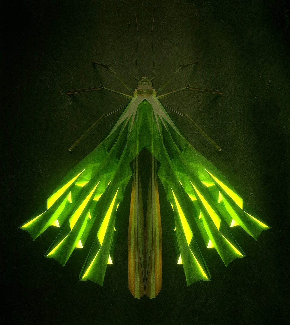 C4D创意几何多边形昆虫作品 - C4D之家 - insect-1.jpg