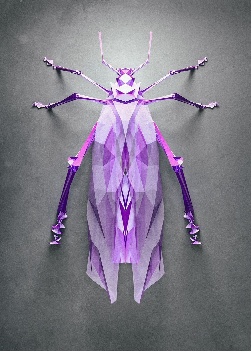 C4D创意几何多边形昆虫作品 - C4D之家 - insect-2.jpg