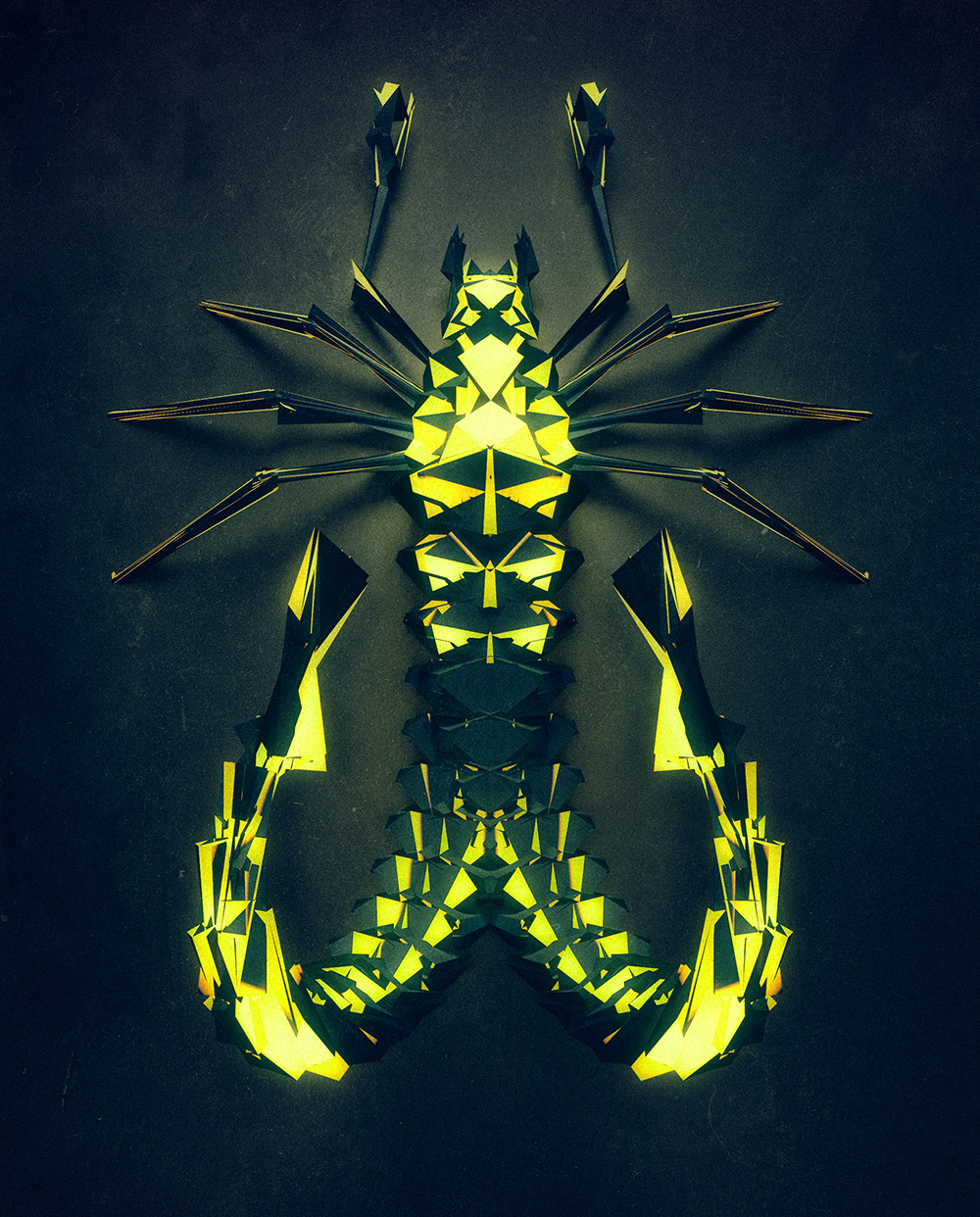 C4D创意几何多边形昆虫作品 - C4D之家 - insect-5.jpg