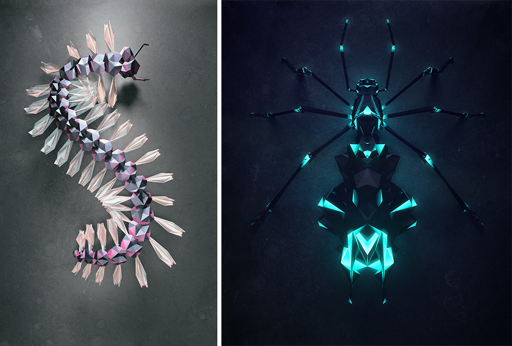 C4D创意几何多边形昆虫作品 - C4D之家 - insect-9.jpg