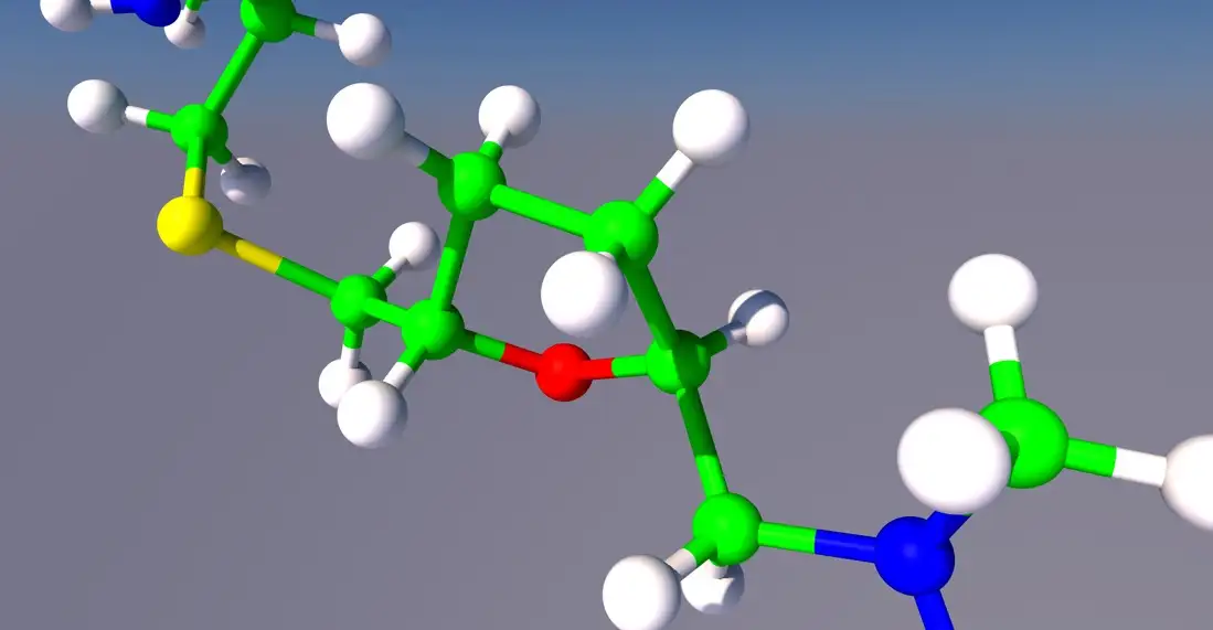 细胞结构C4D模型 Cell Structure