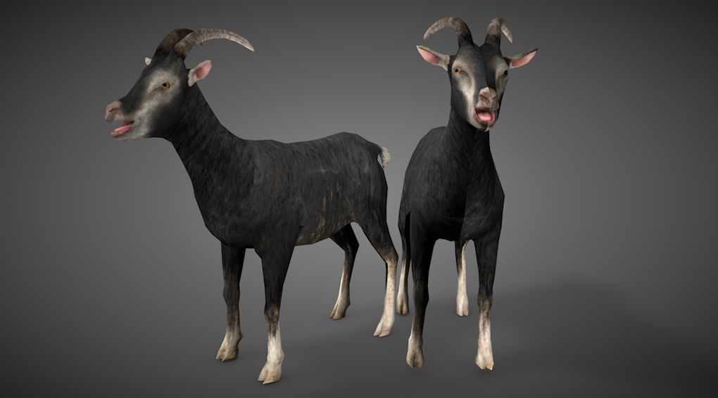 黑色小尾山羊C4D模型 sheep 3d model - C4D之家 - cinema4d_ 2016-08-04 01.02.05.jpg