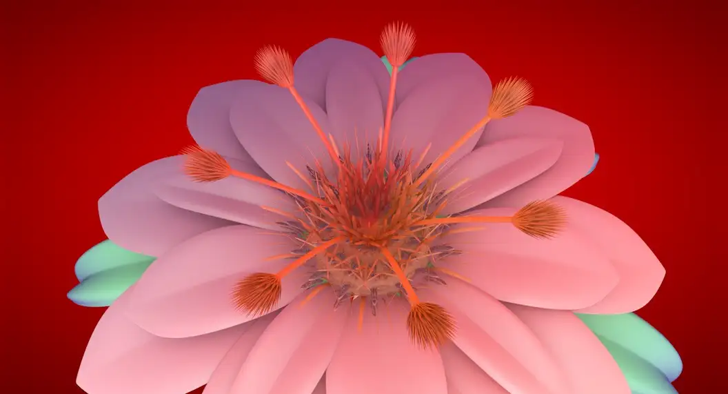 花朵C4D模型 Flowers