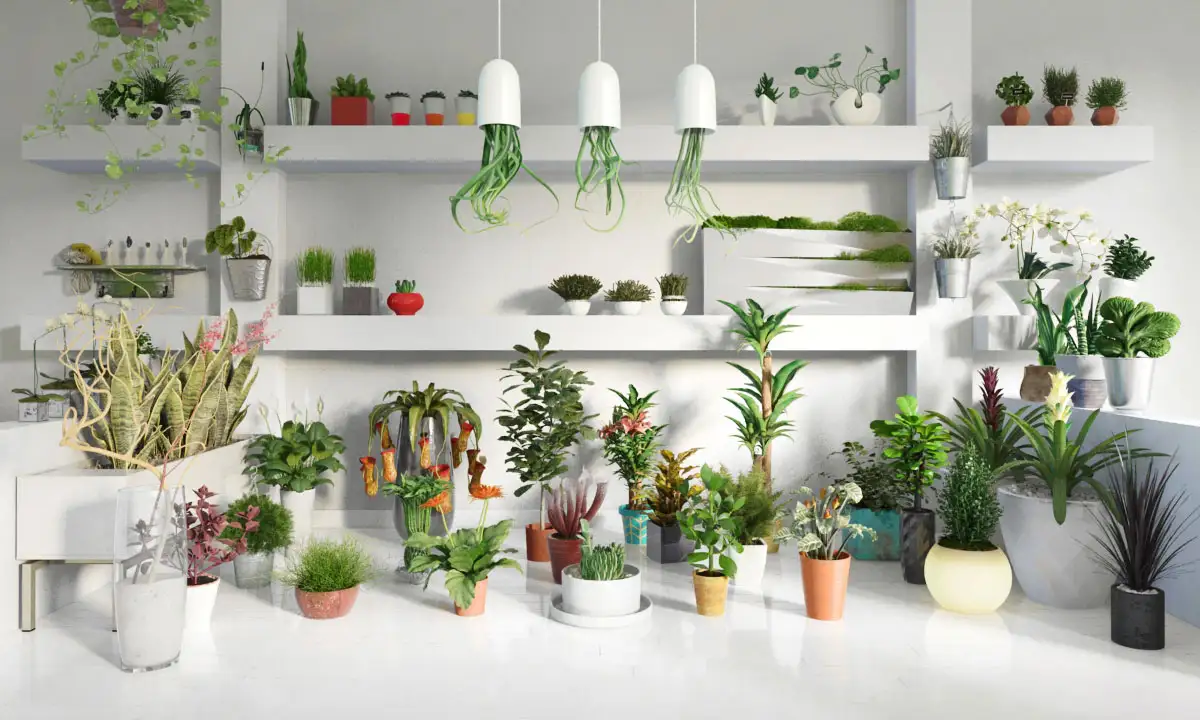 [MAX]植物盆栽3D模型 Evermotion Archmodels Vol.141 - C4D之家 - 7d971f286a1fadaa8e48c90b1a9a1d59.jpg