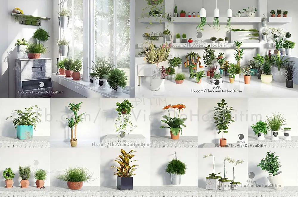 [MAX]植物盆栽3D模型 Evermotion Archmodels Vol.141 - C4D之家 - EVERMOTION-ARCHMODELS-VOL-141.jpg