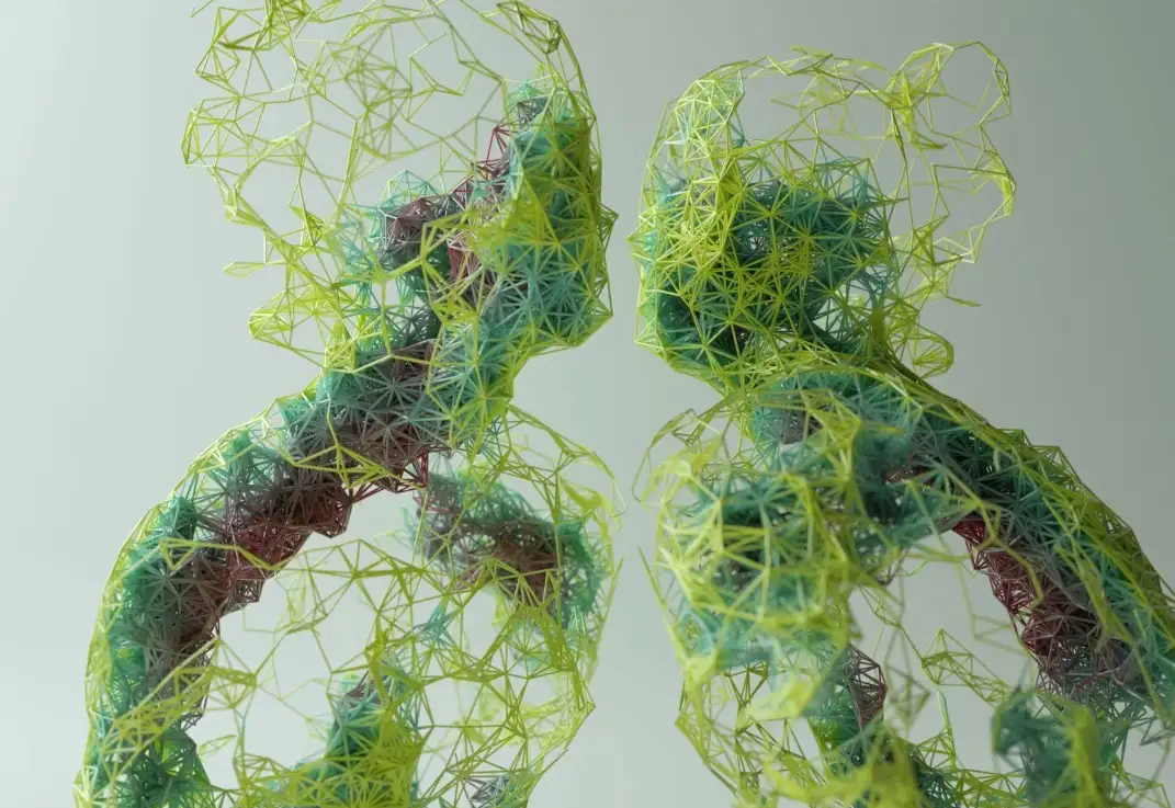 C4D线框人物工程文件（包含教程+插件+工程） - C4D之家 - cinema4d_ 2016-09-09 16.43.18.jpg