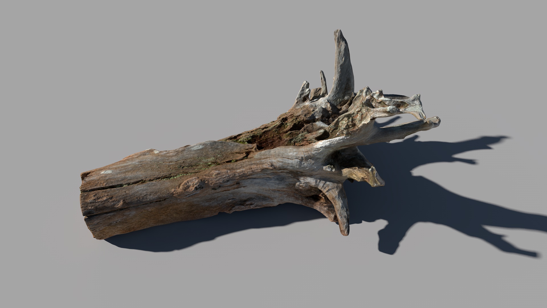 超级写实的枯树杆模型 带4K贴图 - C4D之家 - Aset_wood_log_M_qdtdP_LOD0.jpg
