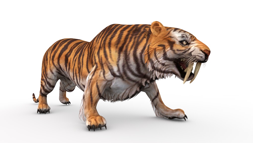 老虎C4D游戏角色模型（绑定+动画） Tiger 3d model - C4D之家 - cinema4d_ 2016-09-30 11.51.39.jpg