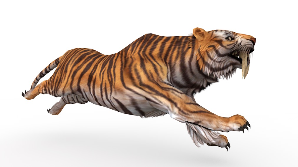 老虎C4D游戏角色模型（绑定+动画） Tiger 3d model - C4D之家 - cinema4d_ 2016-09-30 11.52.51.jpg