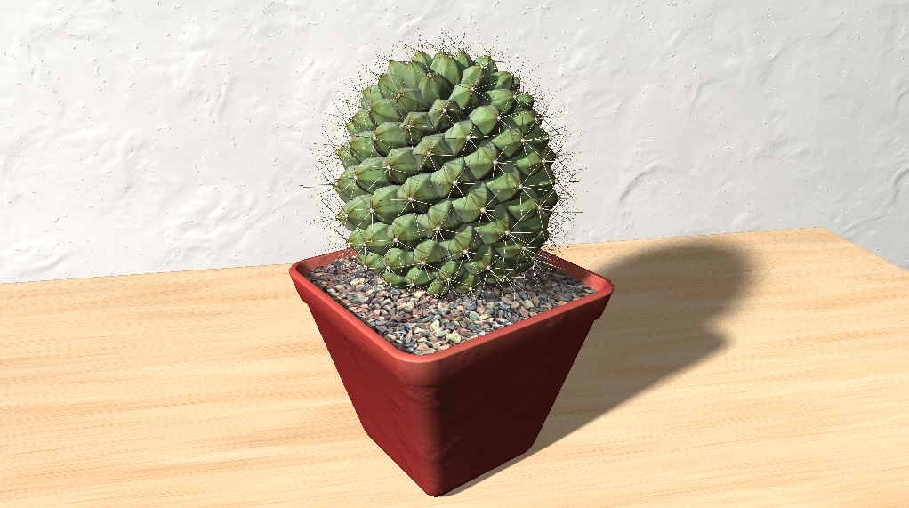仙人球C4D模型 Mammilaria 3D Model