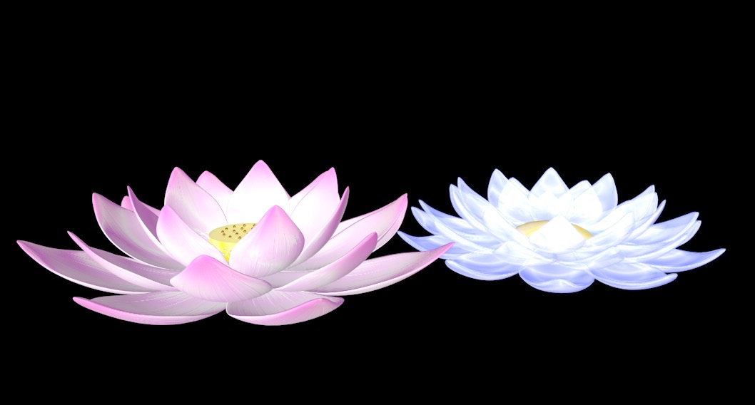莲花C4D动画模型 lotus 3d model