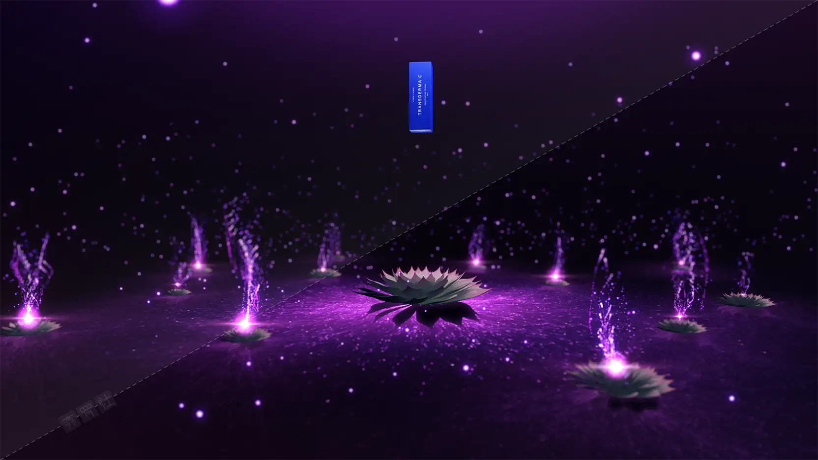 AE粒子制作梦幻场景 Particular - C4D之家 - particular02