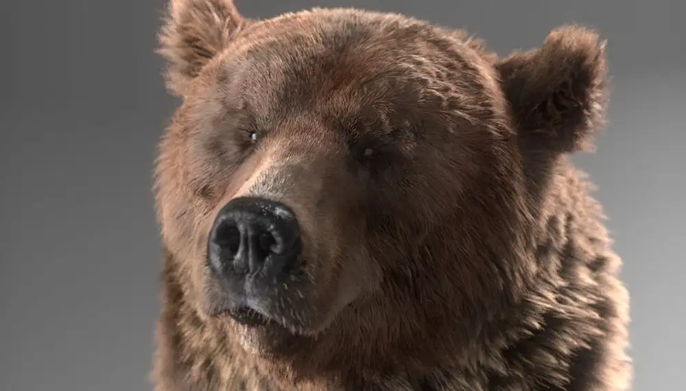 C4D阿诺德Arnold渲染器 SolidAngle C4DtoA 1.4.0 Win/Mac – AMPED/替换和谐版 - C4D之家 - filmakademie_bear_1.jpg