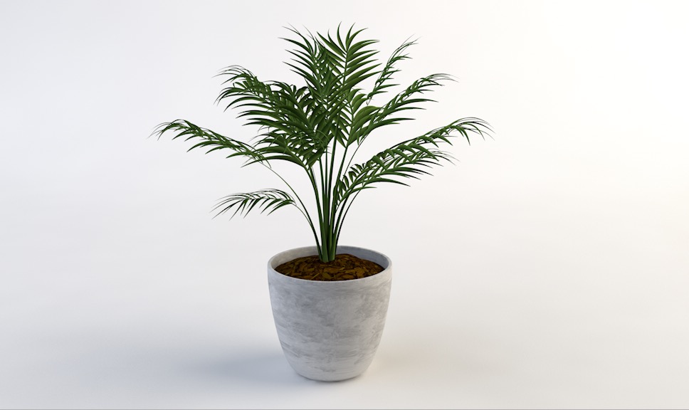 室内装饰植物C4D模型(11) Interior plants 3d model - C4D之家 - cinema4d_ 2016-10-28 23.10.29.jpg