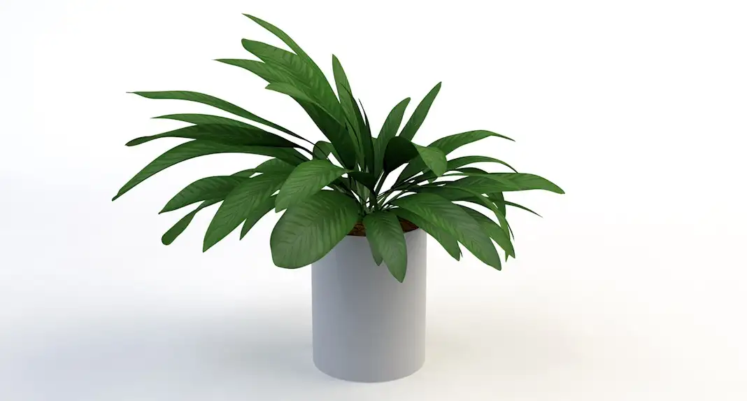 室内装饰植物C4D模型(04) Interior plants 3d model