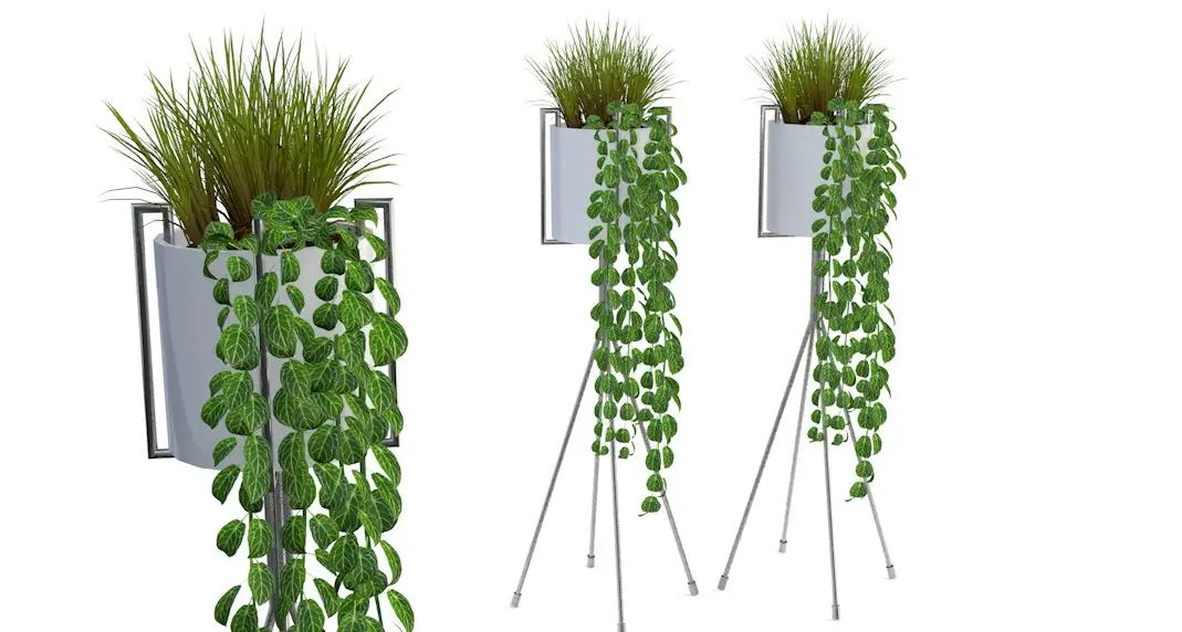 室内装饰植物C4D模型(03) Interior plants 3d model