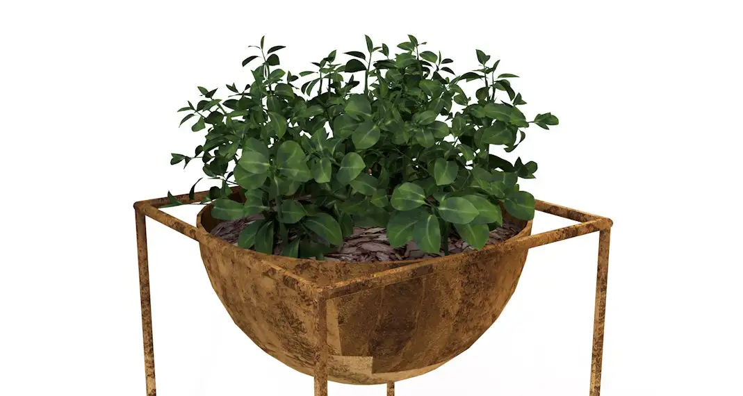 室内装饰植物C4D模型(02) Interior plants 3d model - C4D之家 - cinema4d_ 2016-10-29 15.43.17.jpg