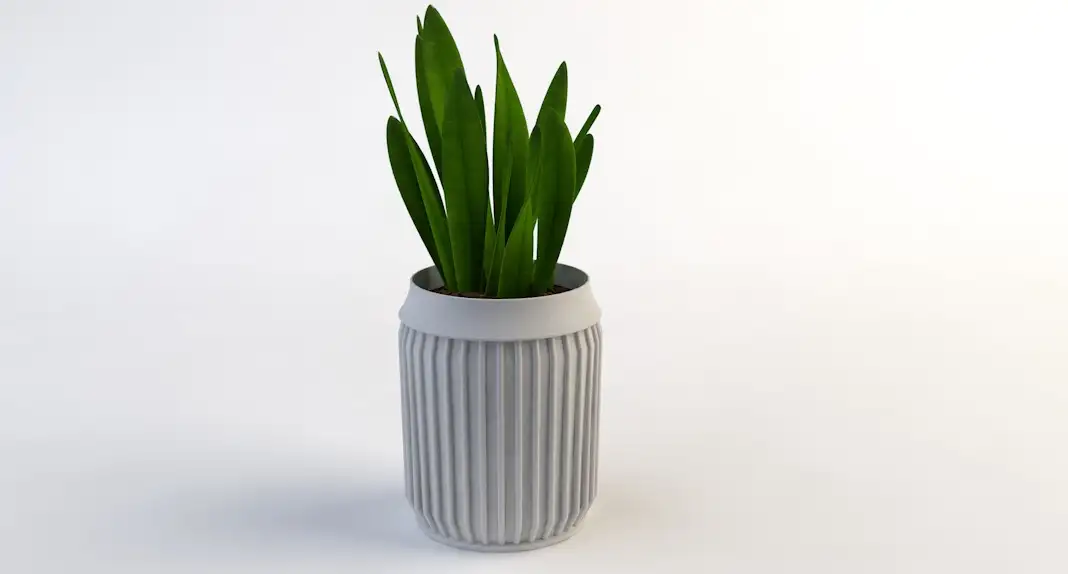 室内装饰植物C4D模型(12) Interior plants 3d model